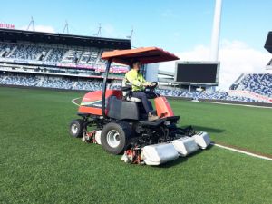 Cylinder Mowing